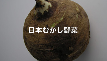 Traditional Native Japanese Vegetables